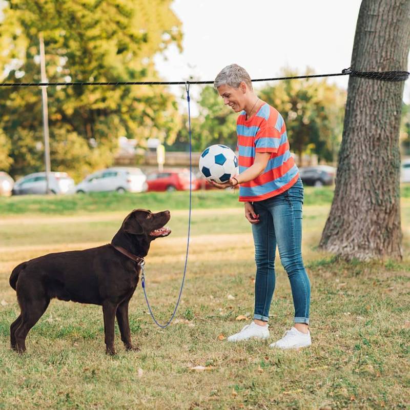 9.8FT Dog Runner for Yard 50FT