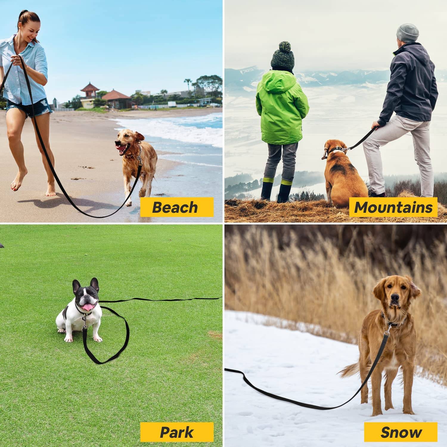 50ft 100ft Dog Training Leash