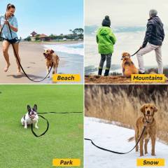 50ft 100ft Dog Training Leash