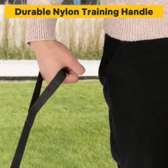 50ft 100ft Dog Training Leash