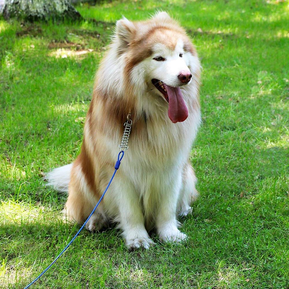 20FT,30 ft Tie Out Cable for Large Dog