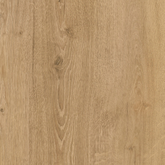 Slovenian Oak