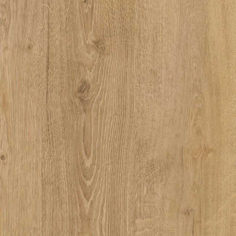 Slovenian Oak