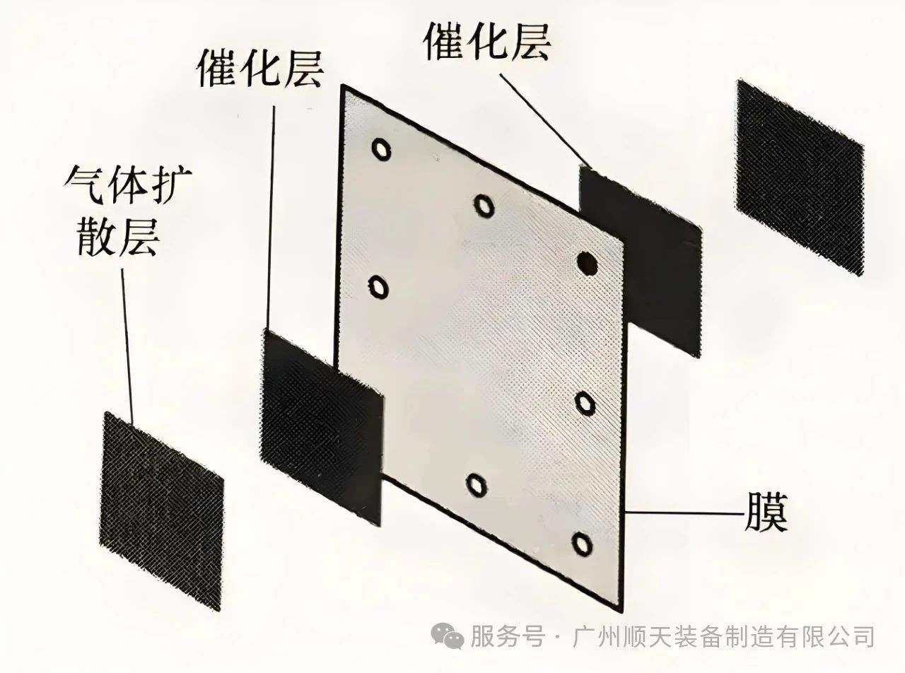 Membrane Electrodes: The “Mysterious Power” of Energy Conversion