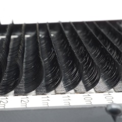 Classic Individual Eyelash extension