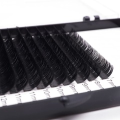 Classic Individual Eyelash extension