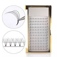 Premade fan Lashes