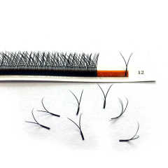 YY Lash Extensions