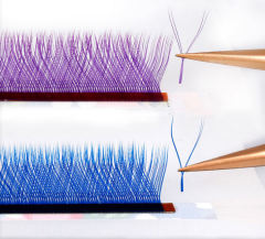 YY Lash Extensions