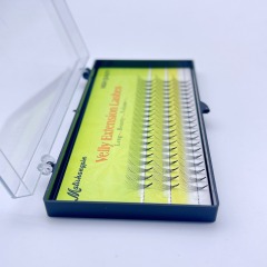 10P Premade fan Lashes