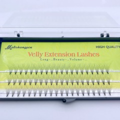 10P Premade fan Lashes