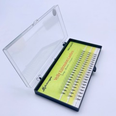 10P Premade fan Lashes