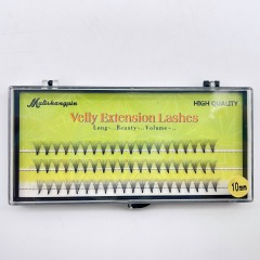 10P Premade fan Lashes