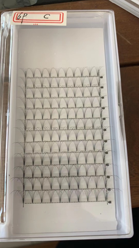 6P Premade fan Lashes