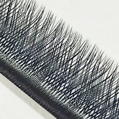YY Lash Extensions