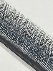 YY Lash Extensions
