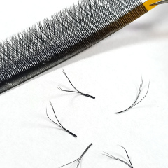 YY Lash Extensions