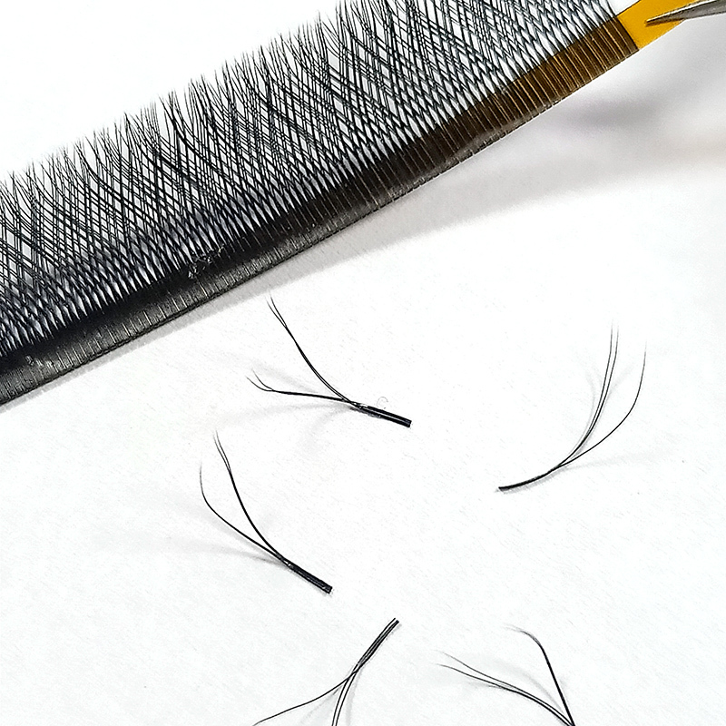 YY Lash Extensions