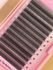 3D three leaf clover Lashes