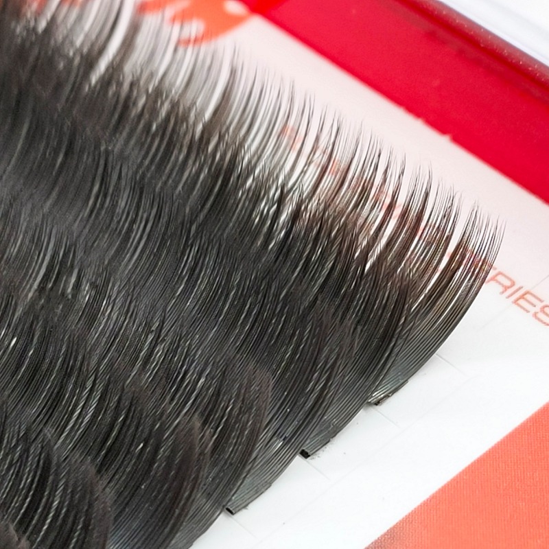 Ellipse Flat Eyelash Extensions