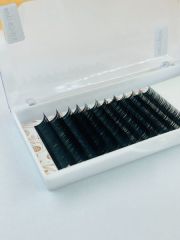 Color Lash Extensions