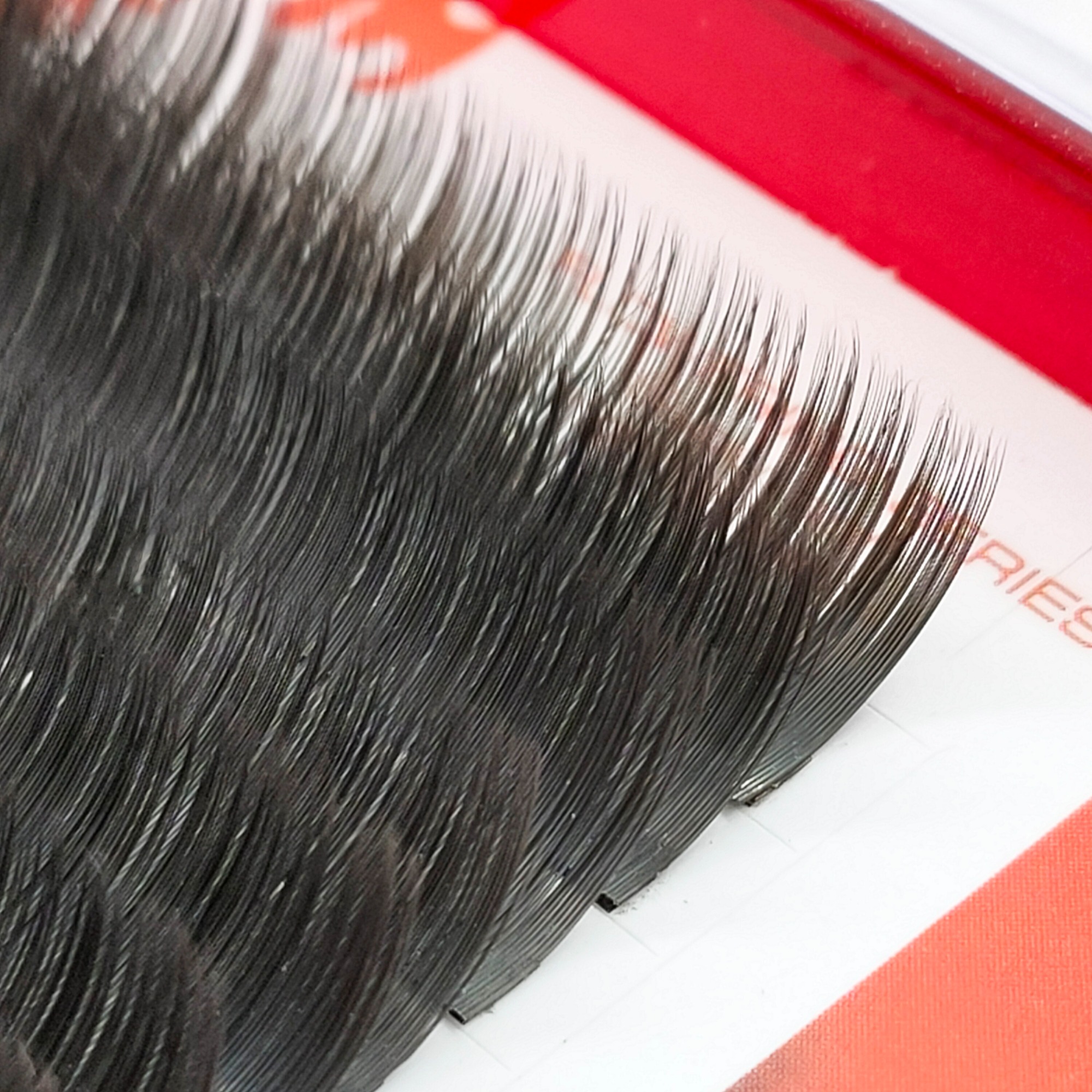 Ellipse Flat Eyelash Extensions