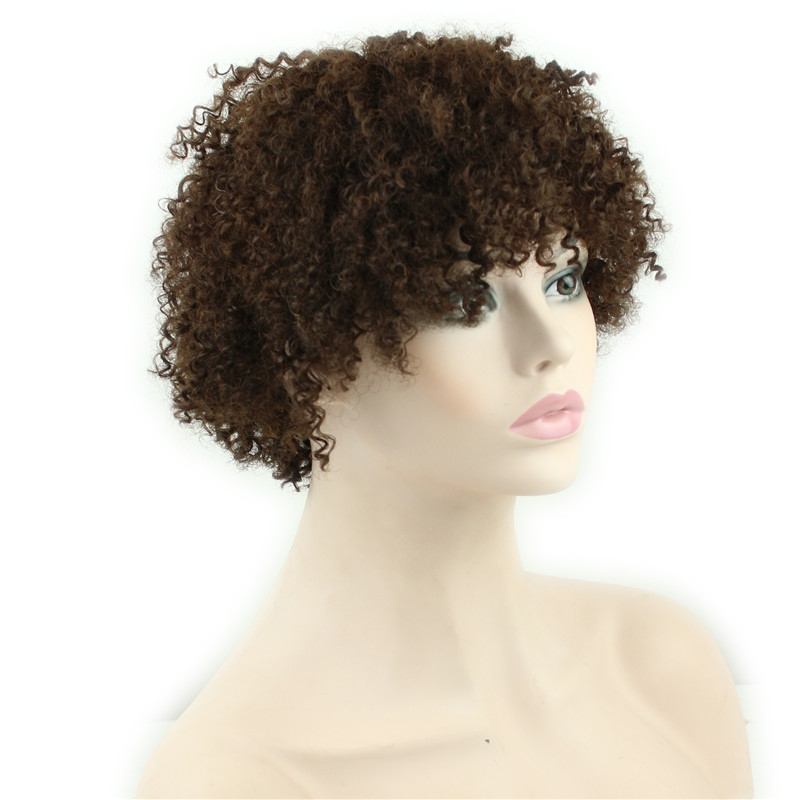 Short Kinky Curly Human Hair Wigs 100% Human Hair Wig Natural Looking Short Afro Kinky Curly Wigs for Black Women (Brown)