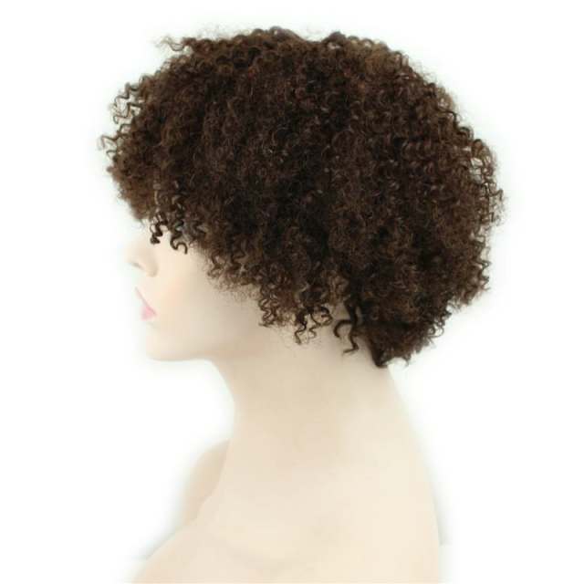 Short Kinky Curly Human Hair Wigs 100% Human Hair Wig Natural Looking Short Afro Kinky Curly Wigs for Black Women (Brown)