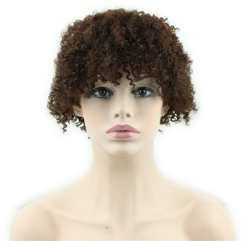 Short Kinky Curly Human Hair Wigs 100% Human Hair Wig Natural Looking Short Afro Kinky Curly Wigs for Black Women (Brown)
