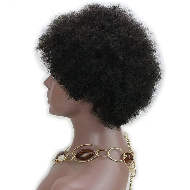 Short  Afro Kinky Curly  Wigs Human Hair Brazilian Human Hair None Lace Full Wig For Women