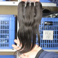 Natural Color Brazilian Human Hair Silk Straight Three Part 4x4 Lace Closure