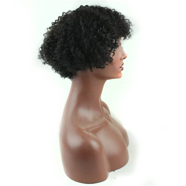 Short Afro Kinky Curly Wig Human Hair 130% Density Short Wig for Women (Natural Black)