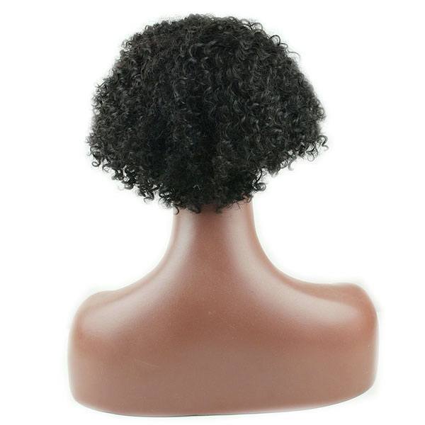 Short Kinky Curly Wig Real Human Hair Afro Curly Wigs Natural Looking For Women