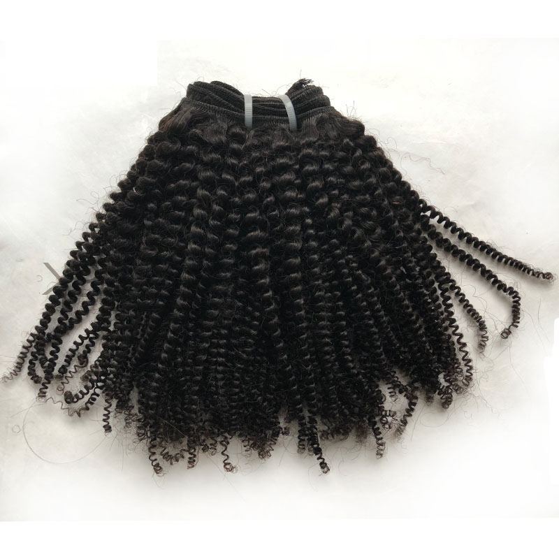 Top Garde Virgin 4b4c Afro Kinky Curly Human Hair Weave Mongolian Afro Kinky Curly Hair Unprocessed Human Kinky Hair Extensions