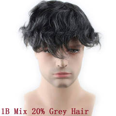 1B Mix 20% Grey Hair