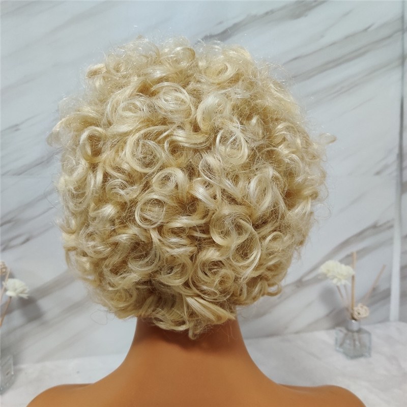 Eseewigs Brazilian pixie 613 Blonde 13x4 Lace Front Wigs Curly Jewish Remy Human Hair Full Lace Natural Hairline 150 Density 10"