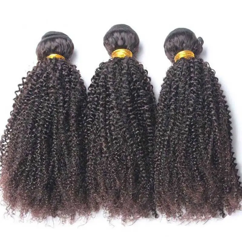 Mongolian Virgin Human Hair Lace Closure With 3 Bundles Afro Kinky Curly Weave