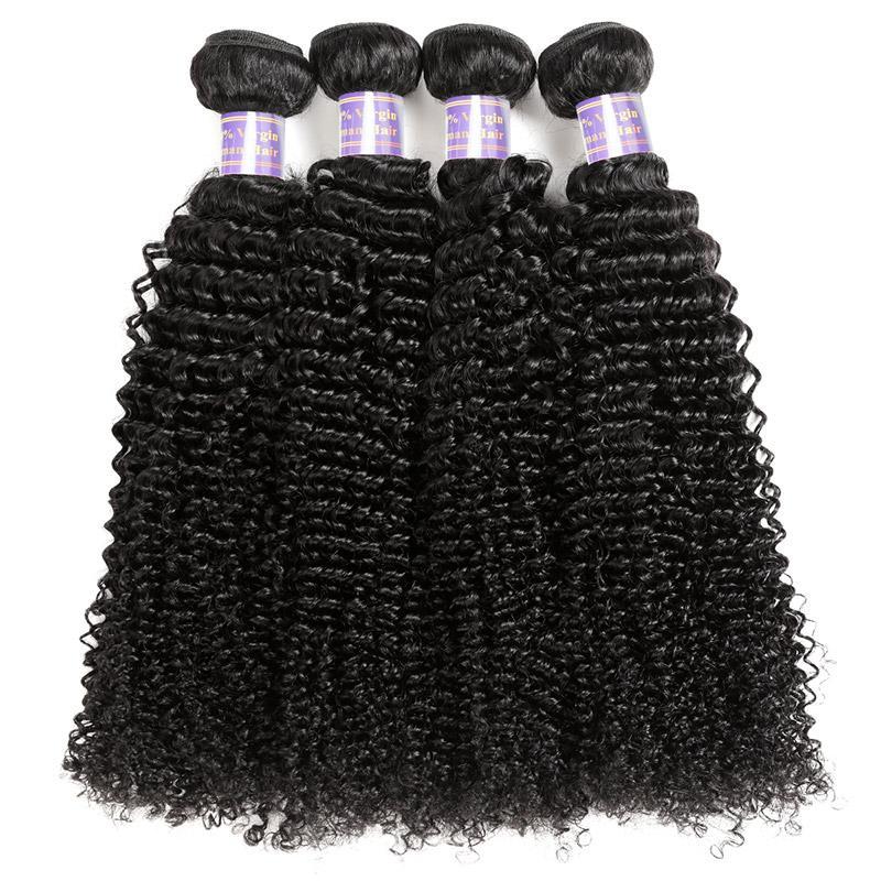 Eseewigs Brazilian Curly Wave 4 Bundles Virgin Human Hair