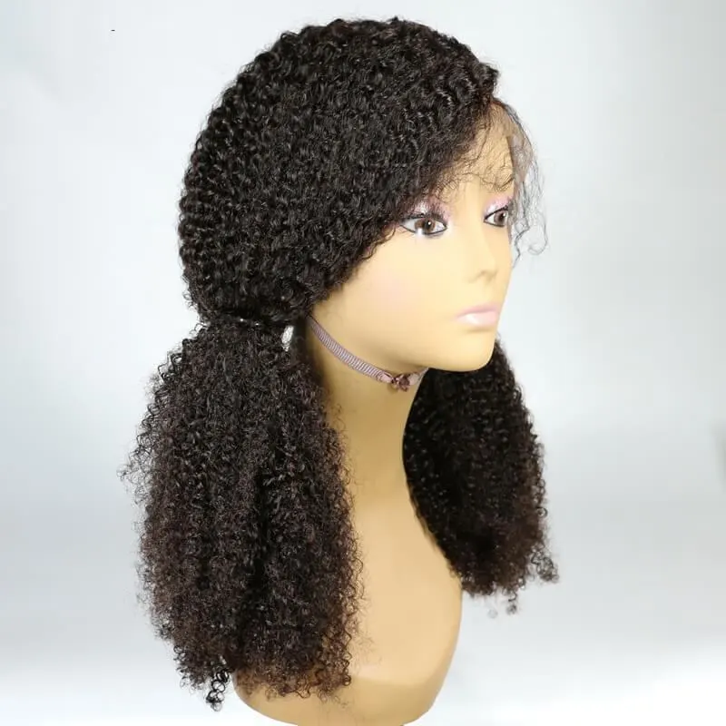 300% Density Lace Wig Kinky Curly Pre-Plucked Human Hair  Wigs Malaysian Hair Human Hair Wigs