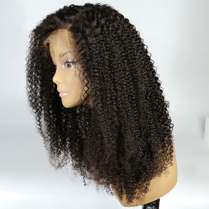 300% Density Lace Wig Kinky Curly Pre-Plucked Human Hair  Wigs Malaysian Hair Human Hair Wigs