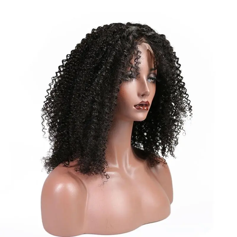 Afro Kinky Curly Full Head Lace Front Wigs 250 Percent High Density for African American Women