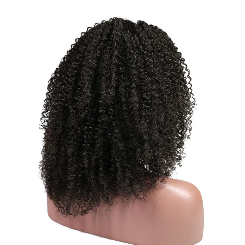 Afro Kinky Curly Full Head Lace Front Wigs 250 Percent High Density for African American Women