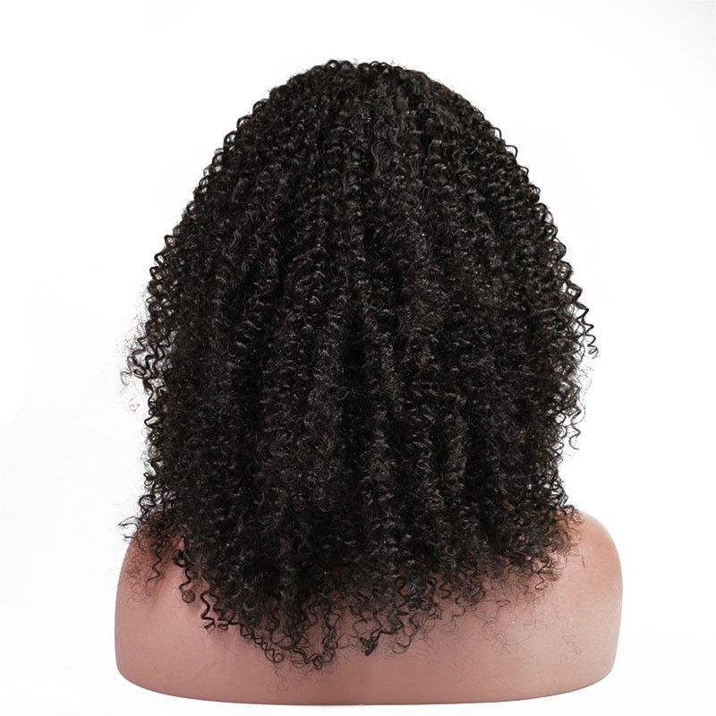 Afro Kinky Curly Full Head Lace Front Wigs 250 Percent High Density for African American Women