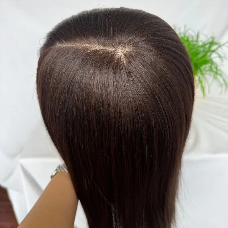 12A 5x5 D Style Silk Skin Base Wig for Women Wigs 100% Top Human Hair Wigs Glueless Dark Brown Wigs Clip In 33CM-50 CM