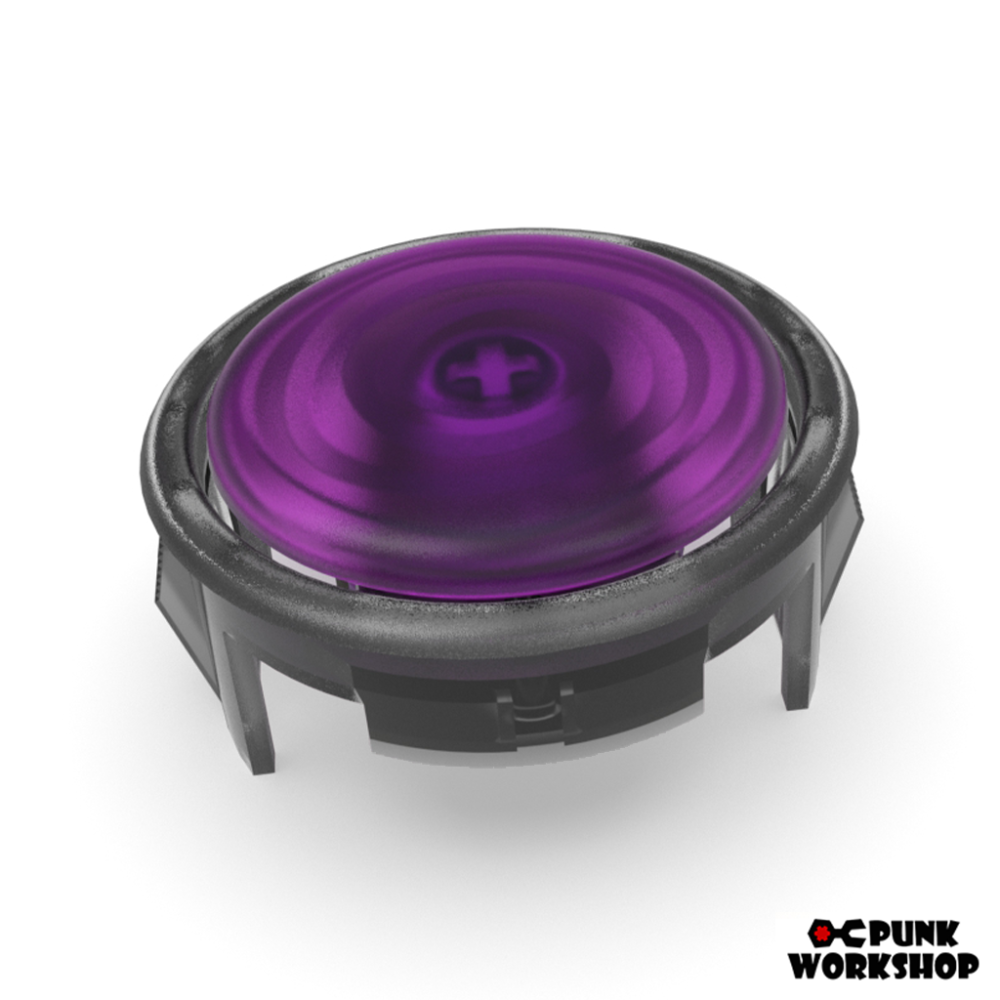 PWS V2 button