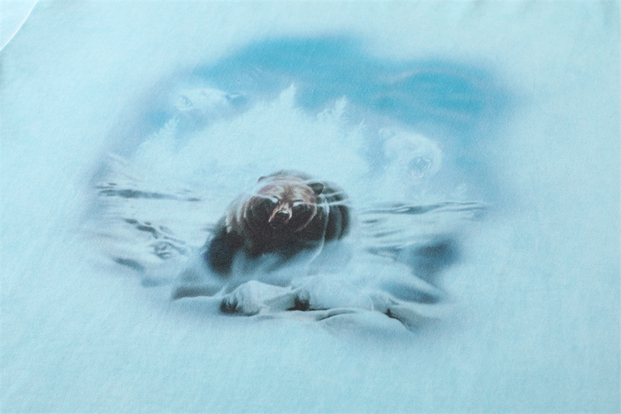 PEACHED PRINTED  DIRTYWASH TSHIRT