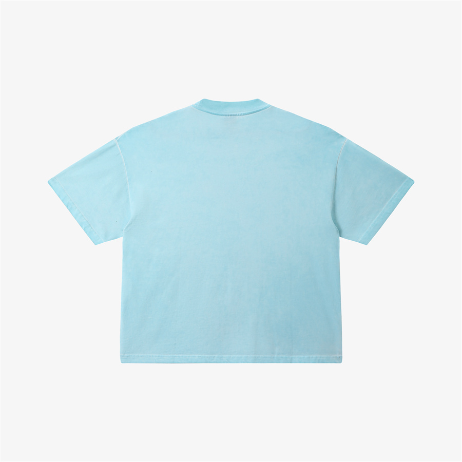PEACHED PRINTED  DIRTYWASH TSHIRT