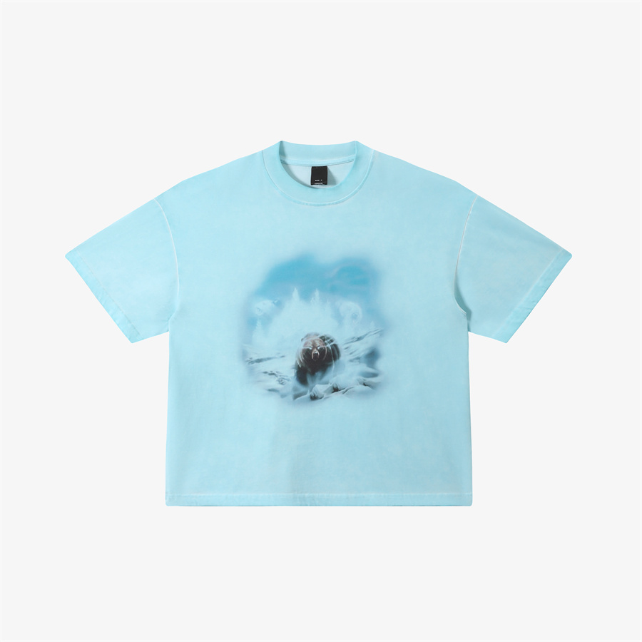 PEACHED PRINTED  DIRTYWASH TSHIRT