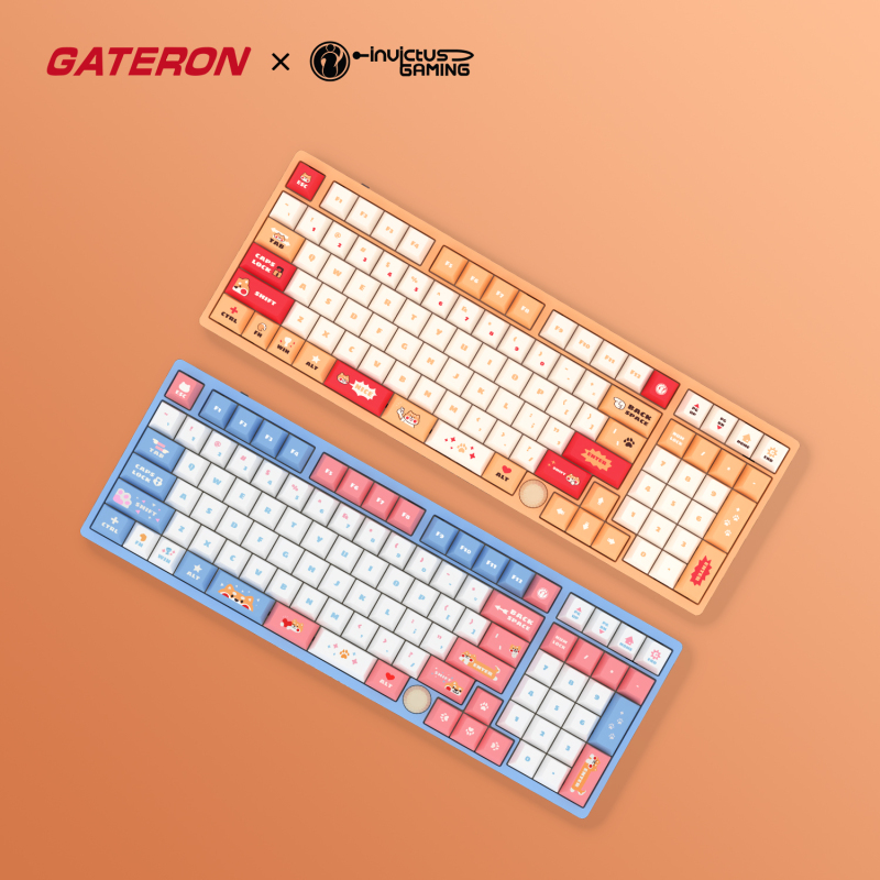 GATERON Co-branded IG 98 Mechanical Keyboard