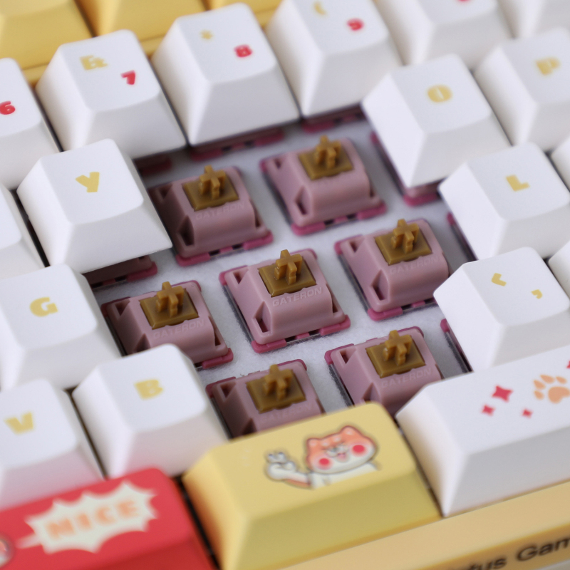 GATERON Mountain-Top Switch